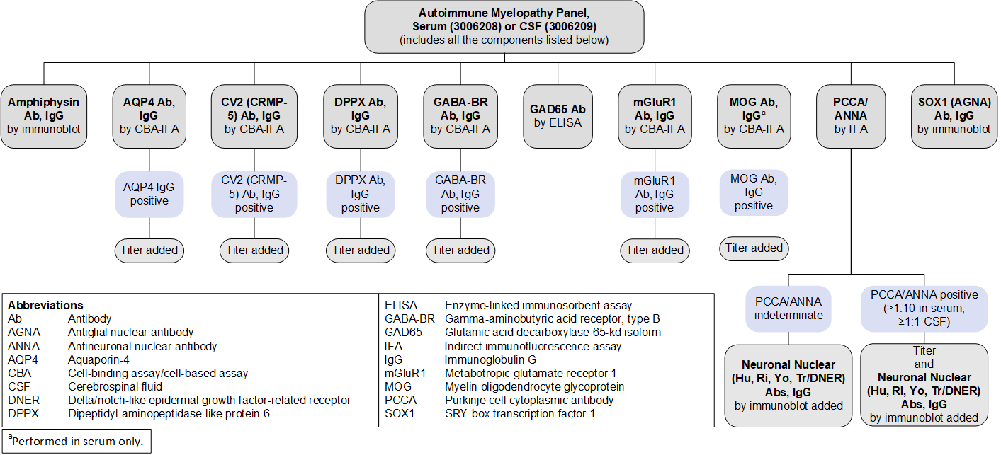 Reflex patterns for Autoimmune Myelopathy Panels